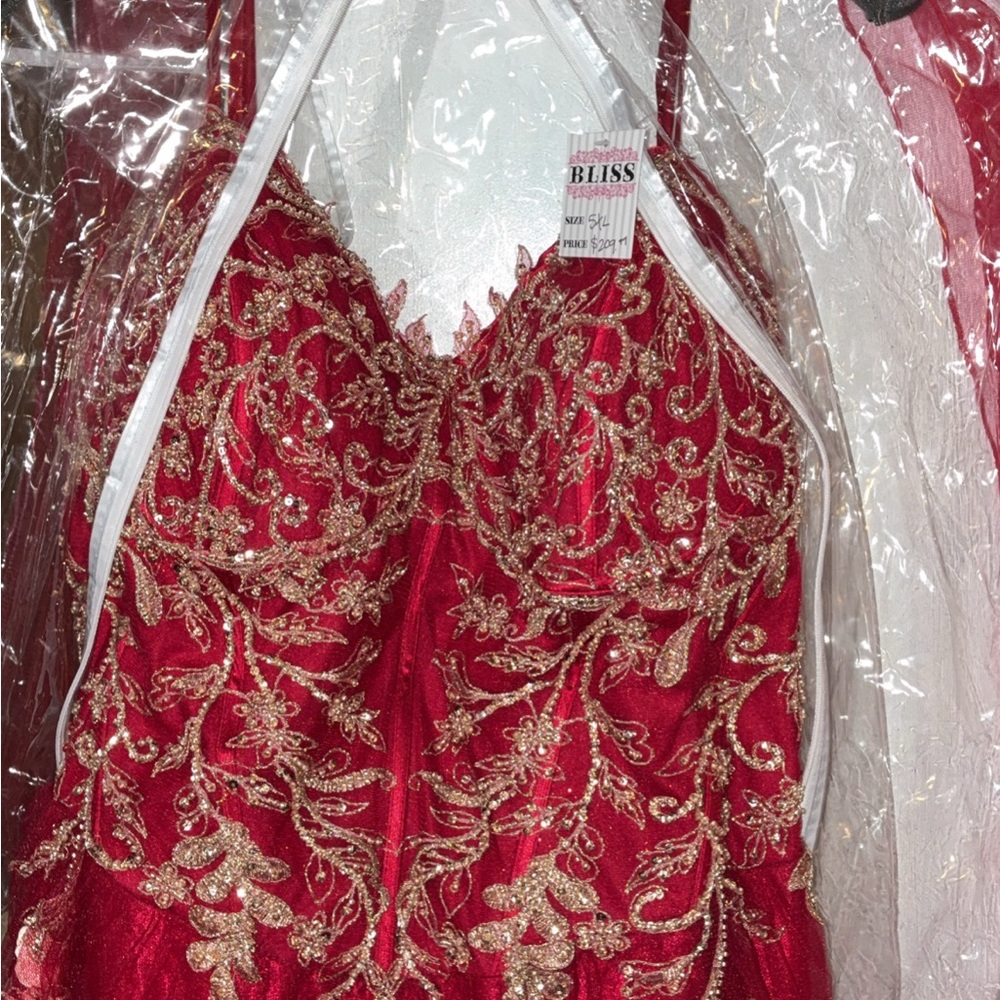 Bliss Red Dress with Gold Detailing - Picture 4 of 5